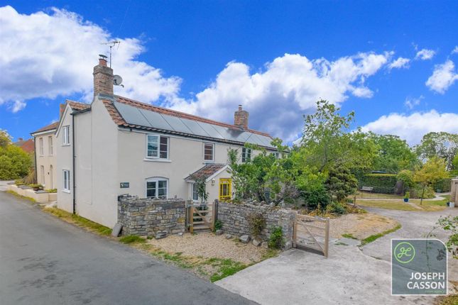 Primrose Cottage, Bridgwater photo 2