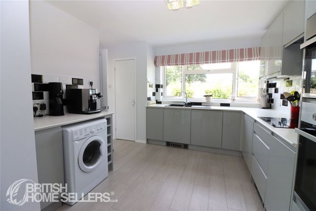 21, Oxhayes, Beaminster photo 4