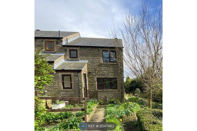 Semi-detached house to rent in Blackwall Rise, Sowerby Bridge HX6