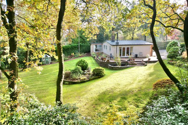 Fox Lodge, Market Drayton photo 2