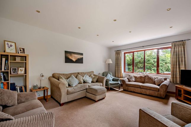 72, Middle Bourne Lane, Farnham photo 3