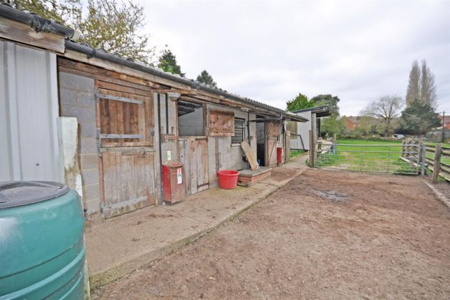 Hazelbank, Rattle Road, Pevensey photo 4