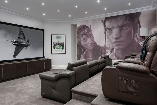 Cinema