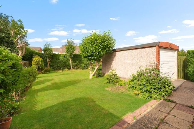 93 Beckwith Road, Harrogate photo 4