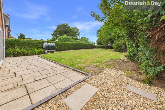 Tamar Moreton Street, Whitchurch photo 4