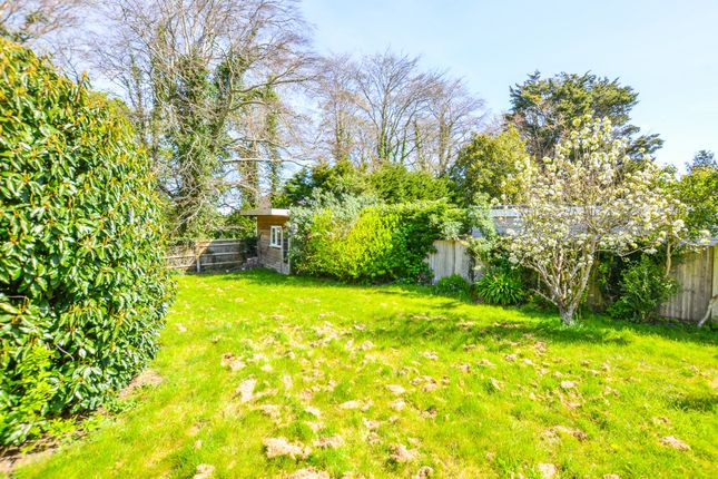 24, Bahram Road, Polegate photo 2