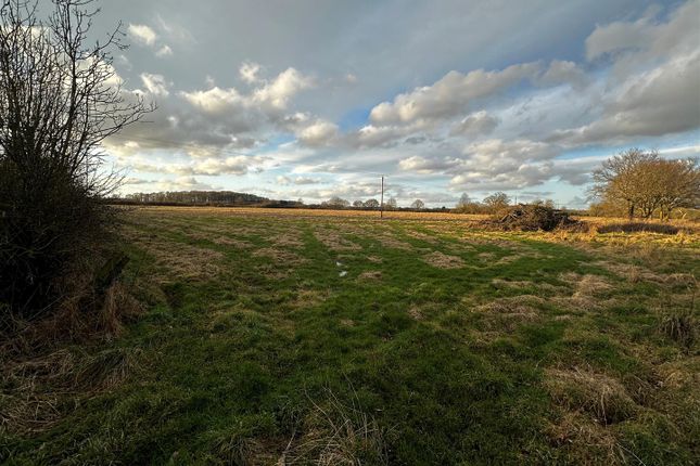 Thumbnail Land for sale in Westfield Lane, Thorganby, York