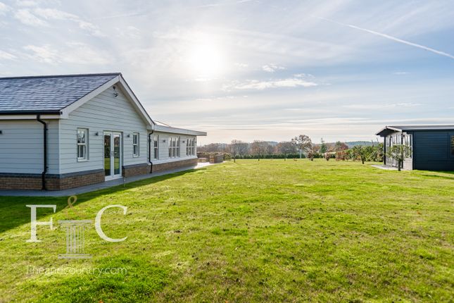 Detached bungalow for sale in Birch Farm Place, Broxbourne, Hertfordshire