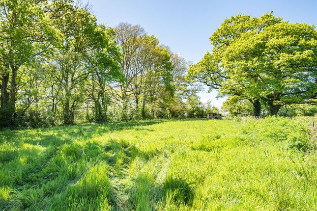 Land for sale in Broadclyst Road, Whimple, Exeter