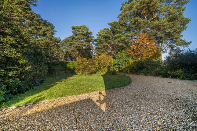 Detached house for sale in Hindhead, Surrey