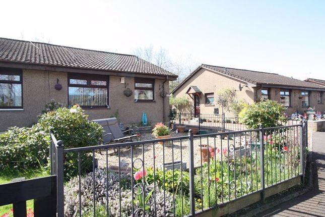 Semi-detached bungalow for sale in Earls Court, Alloa