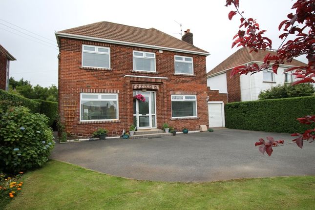 houses for sale in greenisland carrickfergus houses for sale in greenisland carrickfergus