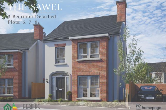 Thumbnail Detached house for sale in The Sawel, Benbradagh Rise, Dungiven