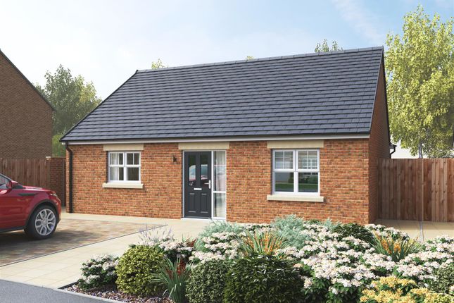Thumbnail Bungalow for sale in Meadow Croft, Hemsworth, Pontefract