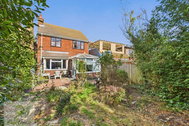 View Of The Back Of The Property