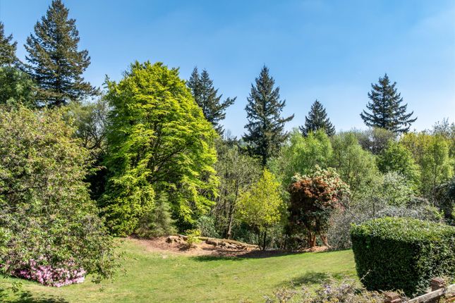 Marley Heights, Haslemere photo 4