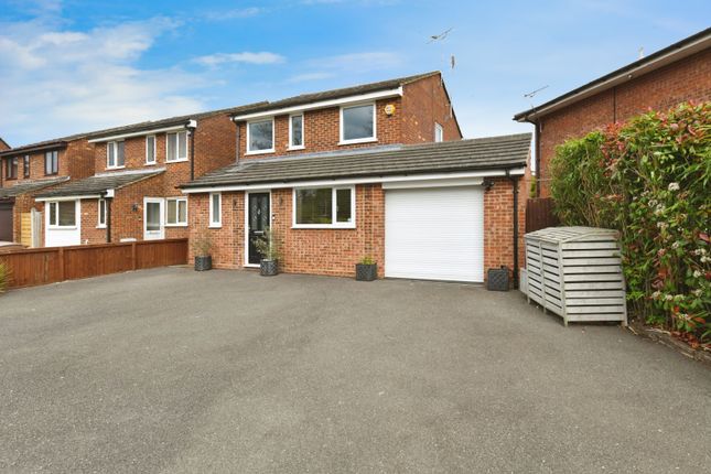 Thumbnail Detached house for sale in Petunia Crescent, Chelmsford