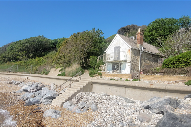 The Cliff Path Bonchurch, Ventnor photo 2