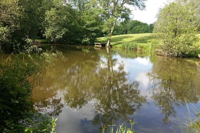 27 Kingfisher, Henfold Lakes, Henfold Lane, Dorking photo 3