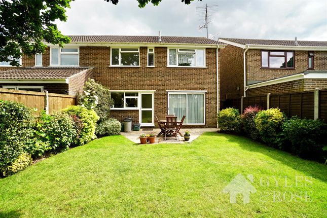Thumbnail Semi-detached house for sale in Delamere Road, Colchester
