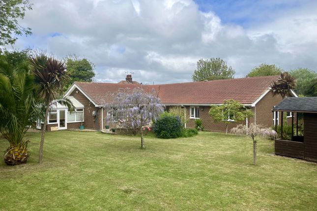 Thumbnail Bungalow for sale in Old Green Road, Cliftonville, Kent