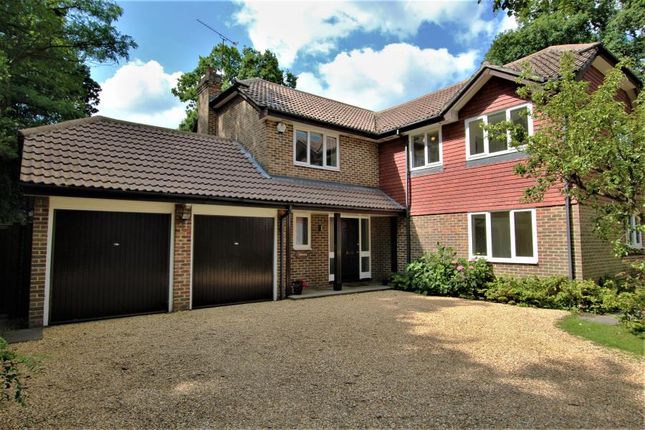 Thumbnail Detached house to rent in Ridgway Road, Pyrford, Woking