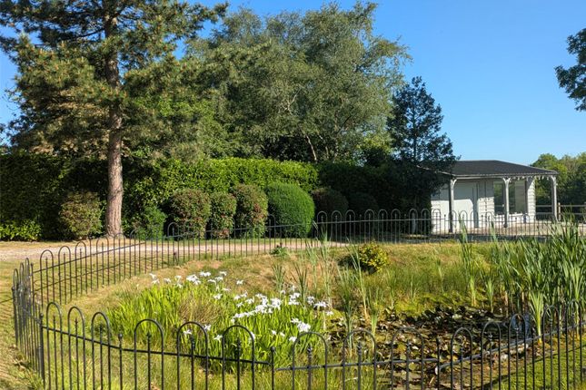 Pond