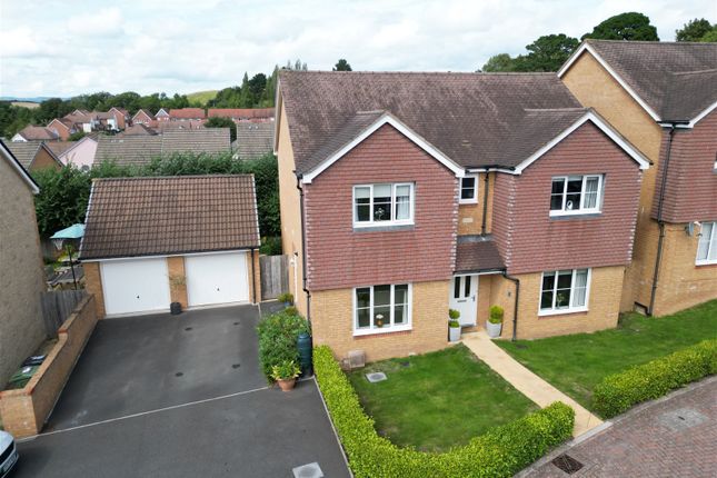 Thumbnail Detached house for sale in Sorrel Place, Newton Abbot