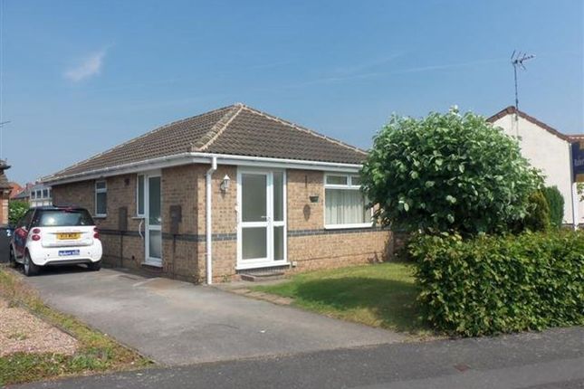 Thumbnail Bungalow to rent in Hartley Drive, Beeston