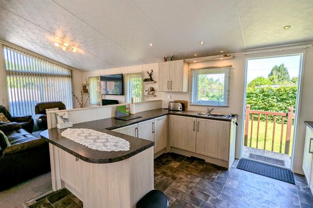 Squirrels Lodge, Woodlands View, Chepstow Road, Coleford photo 3