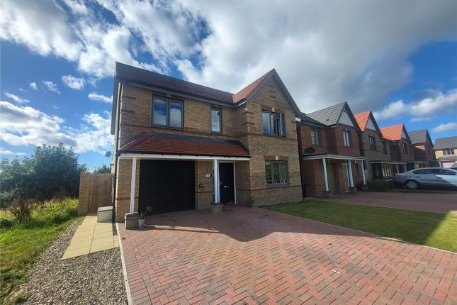 Thumbnail Detached house for sale in Low Avenue, Chilton, Ferryhill, Durham