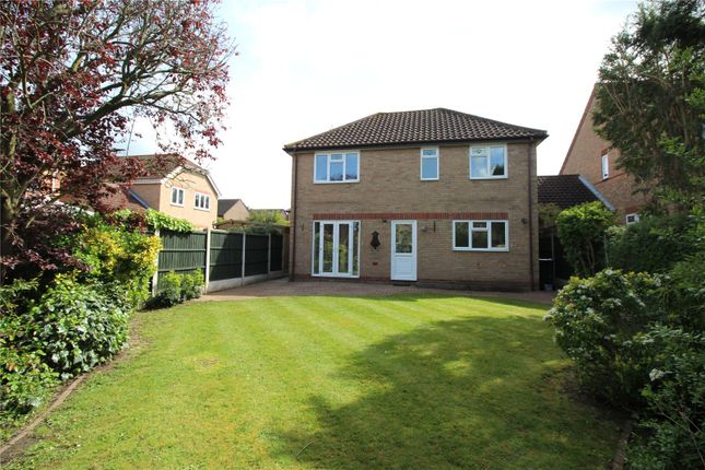 Detached house to rent in Sweet Briar Drive, Laindon