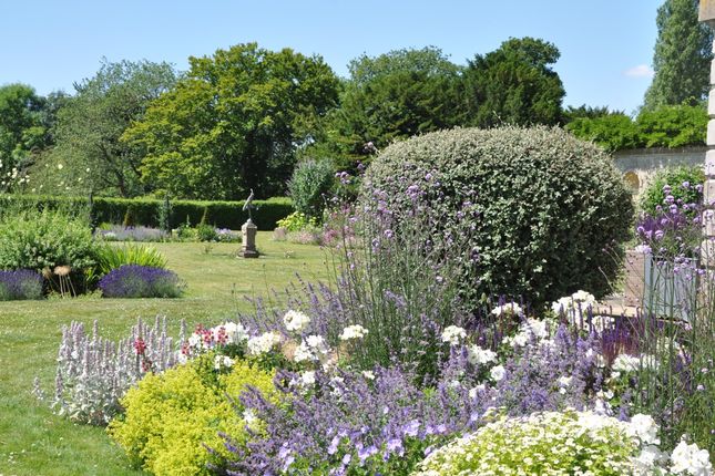 Kp Garden