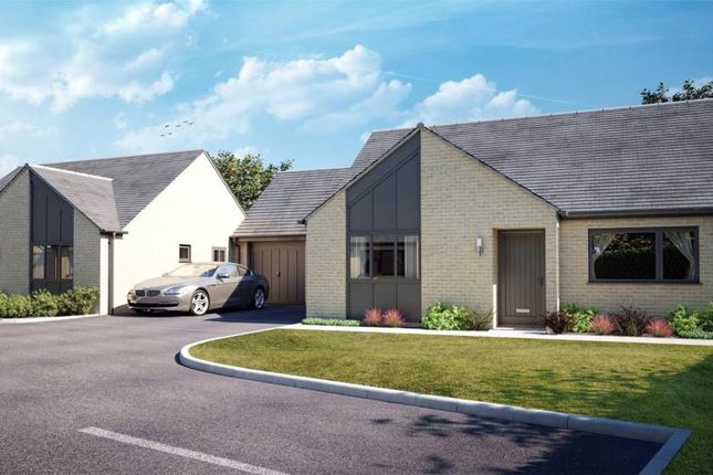 Thumbnail Detached bungalow for sale in Meadowbrook, Callington, Cornwall