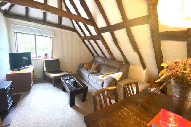 Ivy Lane, Canterbury photo 3