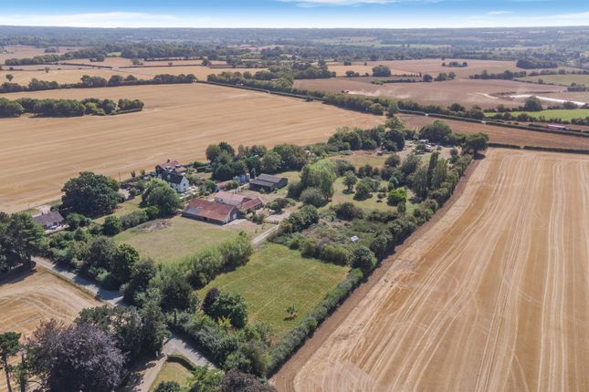 Manor Cottage, Bungay Road, Beccles photo 3