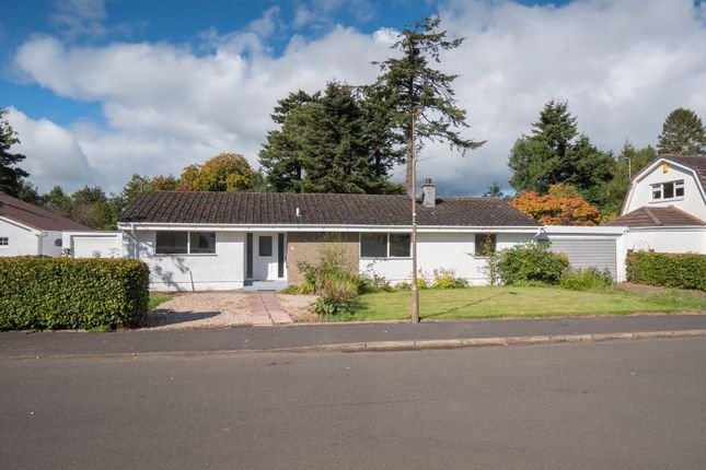 Thumbnail Bungalow for sale in Menzies Avenue, Fintry, Stirlingshire