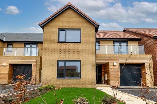 Thumbnail Detached house for sale in Northend, Yatton