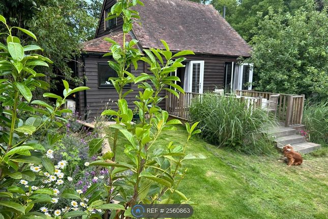 Back Of Barn Overlooking Garden