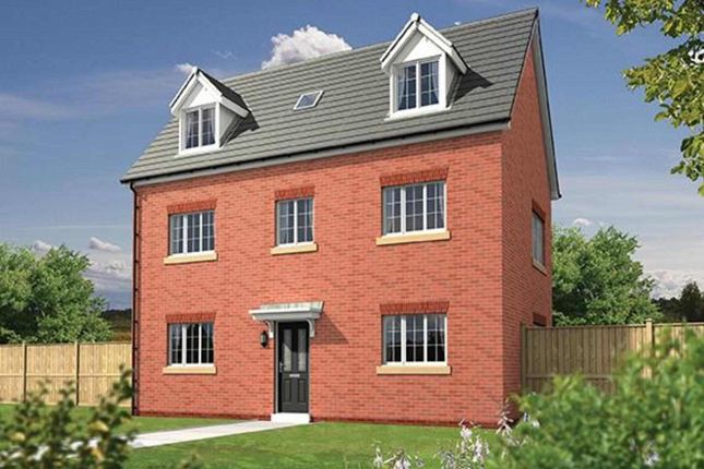 Thumbnail Detached house for sale in "The Winchester - The Hedgerows" at Whinney Lane, Mellor, Blackburn