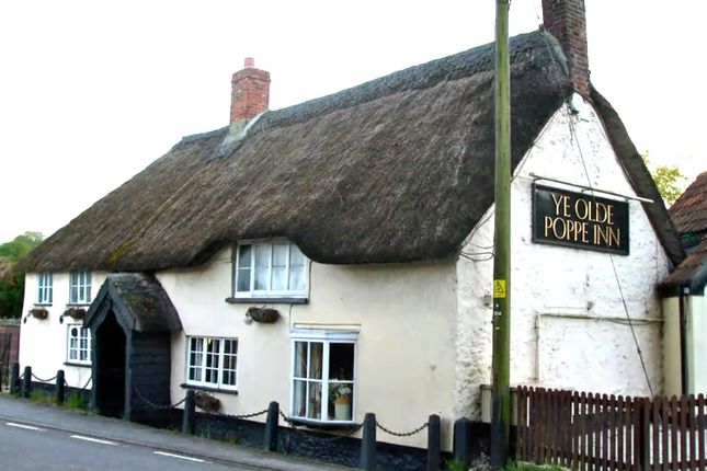 Thumbnail Pub/bar to let in Chard