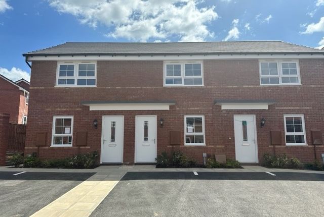 Thumbnail Property to rent in Cranes Way, Wigston