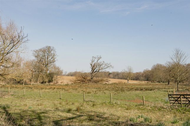 Land