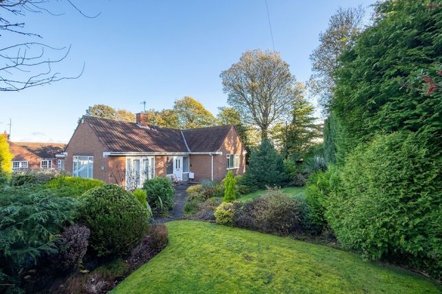 8 Whickham Park, Newcastle Upon Tyne photo 4