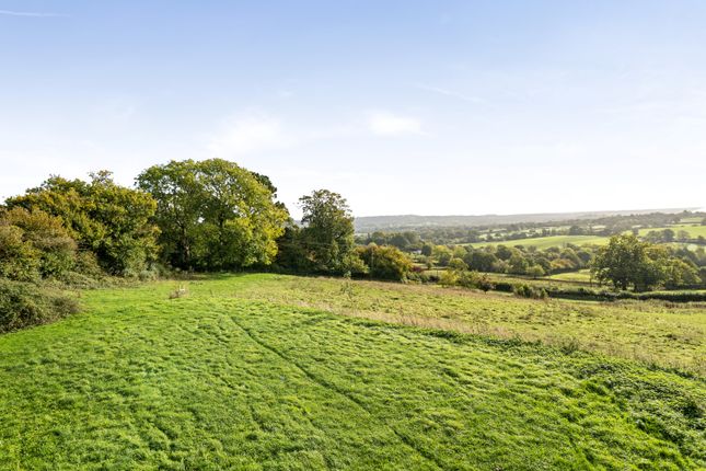 Clayhanger Lane, Wadeford TA20, Chard photo 4