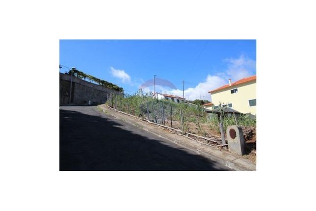 Thumbnail Land for sale in Gaula, Santa Cruz, Ilha Da Madeira