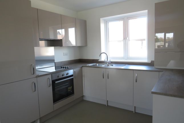1 Bedroom Flats To Let In Ipswich Primelocation