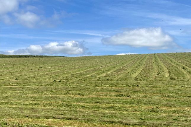 2 The Drive,, Kentisbury, Devon photo 3