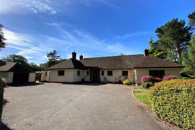 Thumbnail Detached bungalow to rent in Crowcombe, Taunton