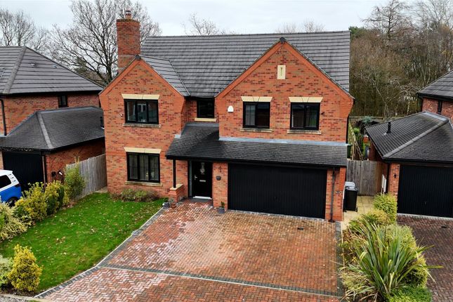 Dji_20251208130239_0111_D (3).Png